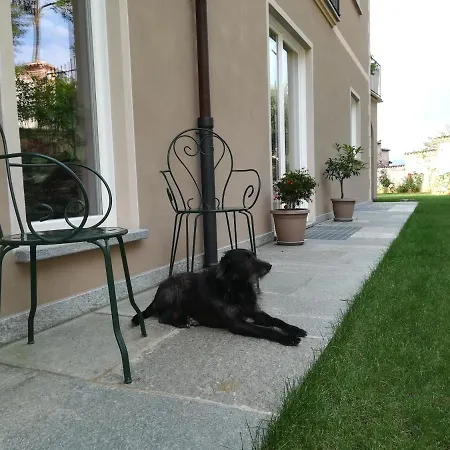 Antilia Alojamento de Acomodação e Pequeno-almoço Busca