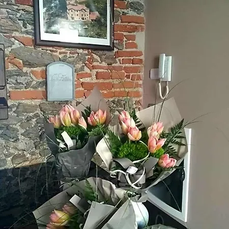 Antilia 3*